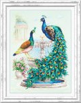 (image for) Peacock